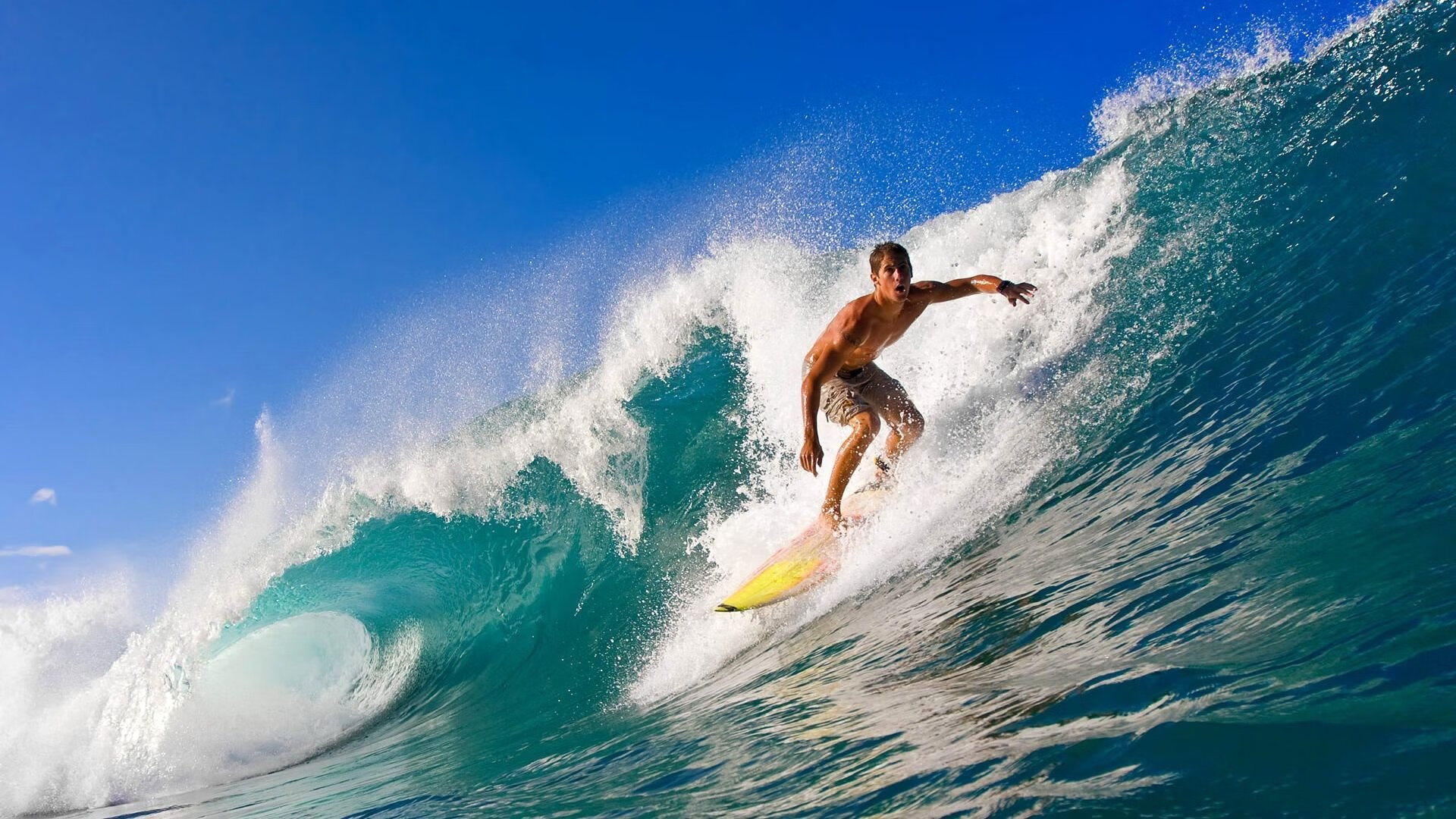 蓝黑风暴席卷南美，布鲁诺·欧冠半决赛的绝对主宰之夜